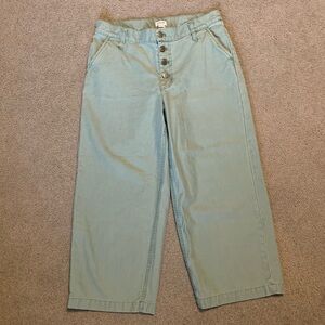 Women’s J Crew Pants Olive Green Wide Leg Button Fly Cropped Trouser Size 28
